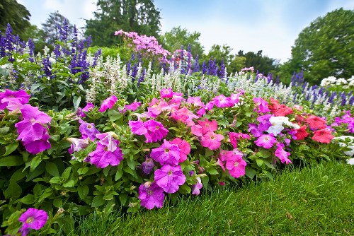 A beautiful bouquet of fresh flowers arranged for delivery