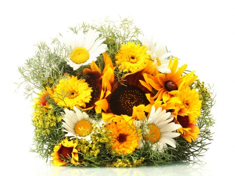 Beautiful flower arrangement in North Finchley