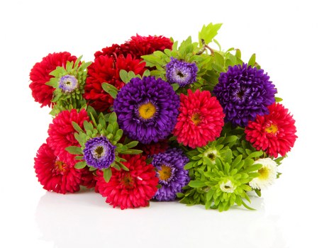 Beautiful bouquet delivered in Hatton