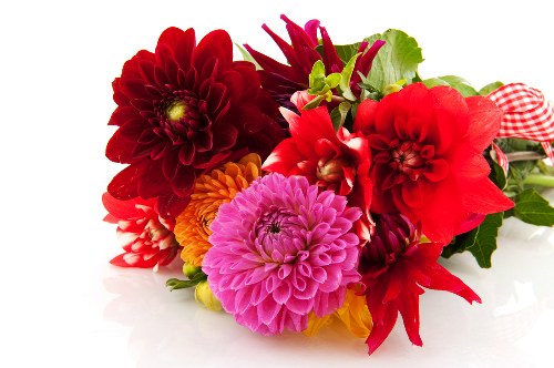 Variety of fresh flowers available for delivery
