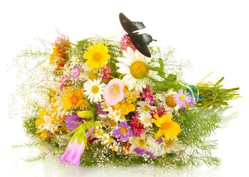 Seasonal flowers in a vibrant arrangement