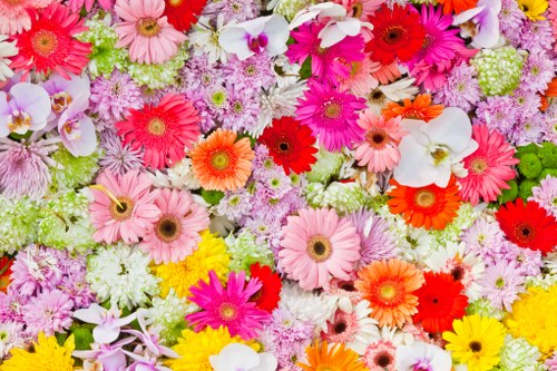 Beautiful bouquet of assorted flowers arranged elegantly