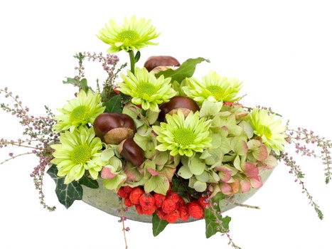 Assorted flowers perfect for any occasion