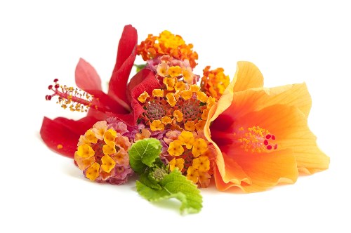 Delivery team presenting a fresh flower arrangement