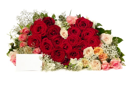 Flower delivery van ready to dispatch in Knowle