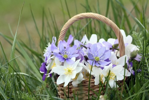 Ordering flowers online for Maryport delivery