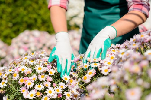 Local florist preparing fresh flowers in Crawley