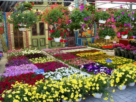 Local florist arranging a flower bouquet