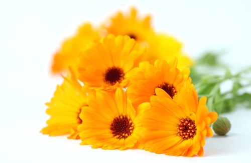 Sympathy flowers arranged with care in St John's Wood