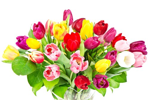 Fresh flowers ready for delivery in Cockermouth
