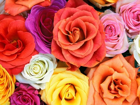 Fresh flowers being prepared for delivery in Knowle