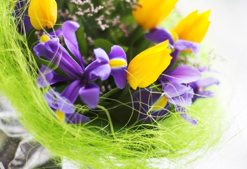Local florist selecting fresh flowers for delivery in Scawby