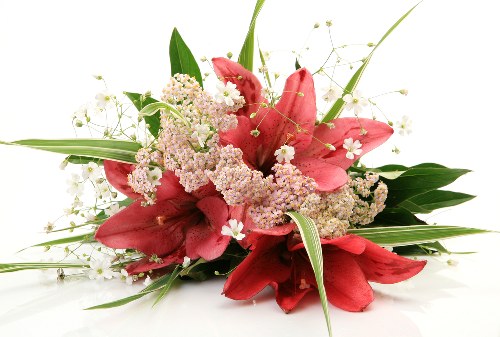 Variety of vibrant flowers available for delivery in Ixworth
