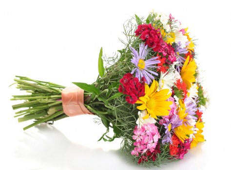 Variety of colorful flowers available for delivery