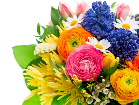 Local florist arranging fresh blooms
