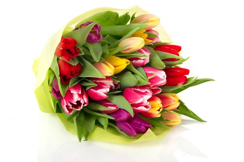 Fresh and vibrant floral arrangements from Shipston on Stour florists