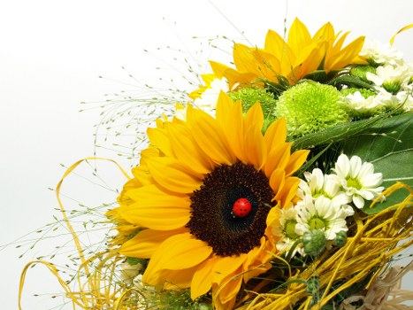 Custom floral arrangements for different occasions