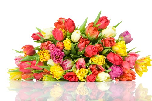 Customized floral designs by Earlsfield florists