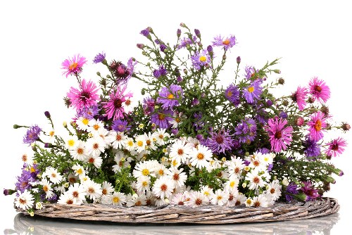 How to order flower delivery in Arnos Grove