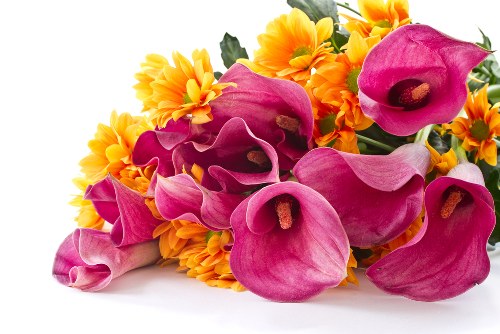 Ordering flowers online with ease