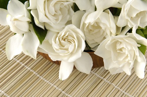 Variety of colorful flowers available for delivery
