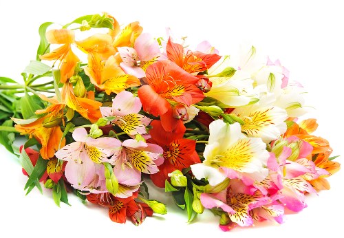 Local florist delivering fresh blooms