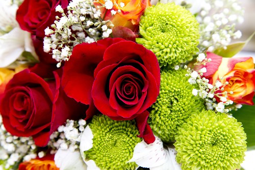 Assortment of mixed seasonal flowers in vibrant arrangement