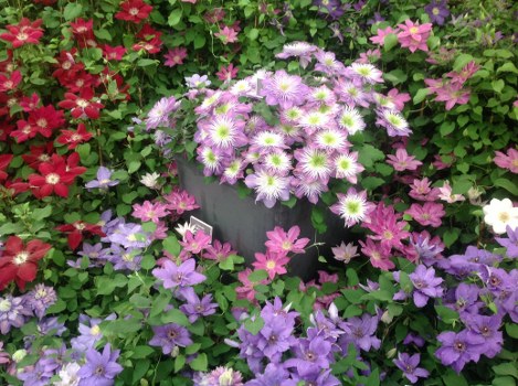 Same-day flower delivery service in Shipston on Stour