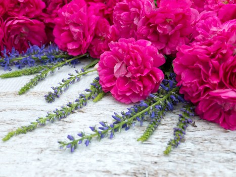 Elegant tulips and daffodils arranged for a special occasion