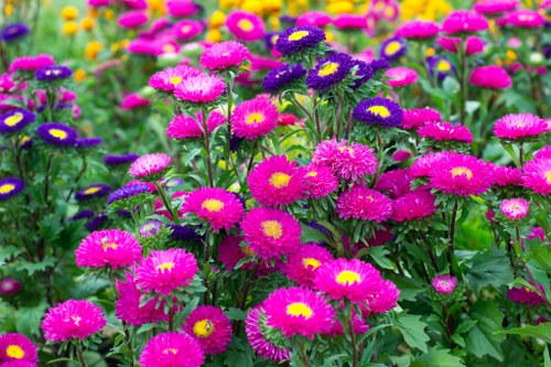 Variety of colorful flower arrangements available