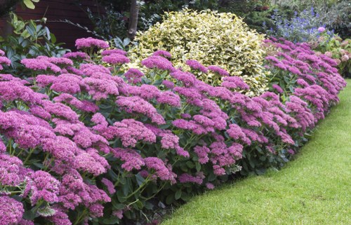Variety of vibrant flowers available for delivery