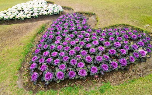 List of areas served by Flower Delivery Arnos Grove