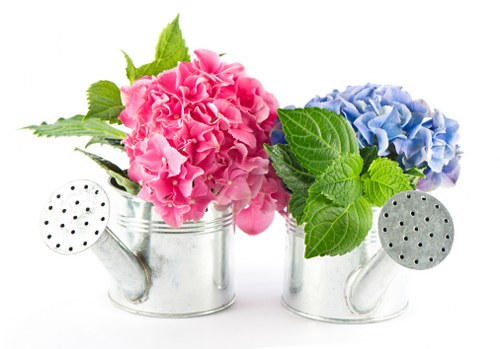 Eco-friendly flower delivery packaging with fresh blooms