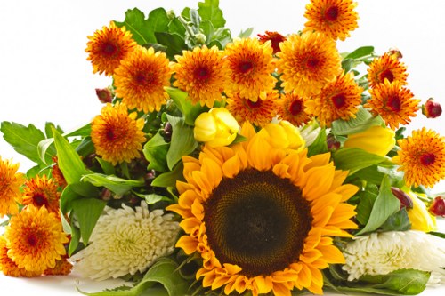 Variety of popular flower arrangements available