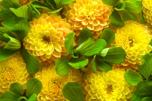 Seasonal flowers arranged for delivery near Heathrow