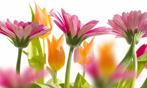 Local florist preparing a fresh flower arrangement in Tufnell Park