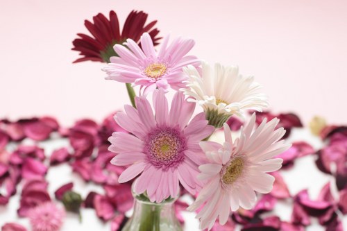 Eco-friendly flower packaging for delivery