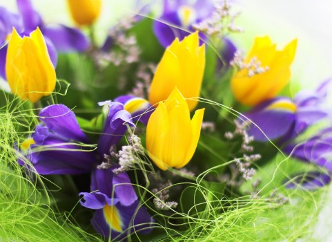 Selection of vibrant bouquets from Merton Park florists