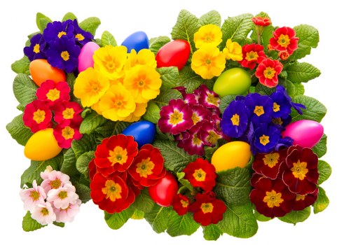 Local florist arranging fresh flowers in Arundel