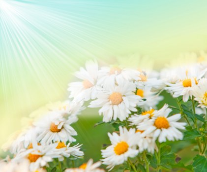 Customized flower arrangement being designed