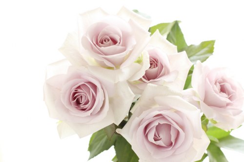 Seasonal flowers arranged beautifully for delivery