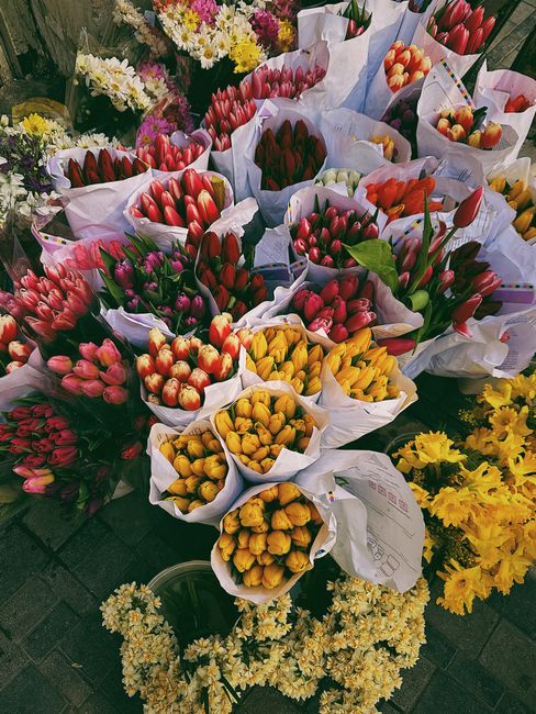 Top Florists Near Covent Garden Market for Fresh Bouquets