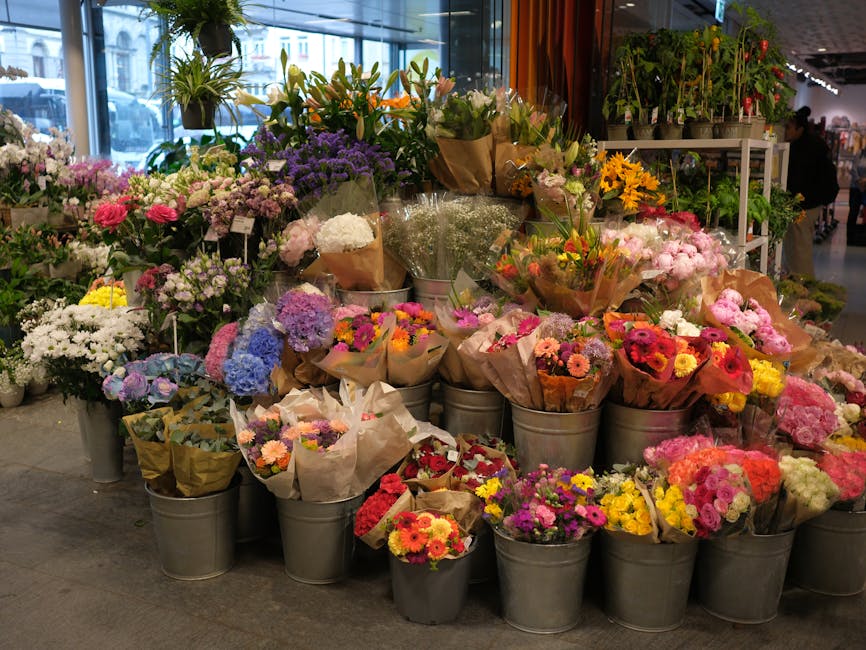 An array of freshly cut flower bouquets arranged on a sidewalk, featuring tulips in shades of red, pink, yellow, and orange, each wrapped in white paper. The tulips have smooth, rounded petals with a